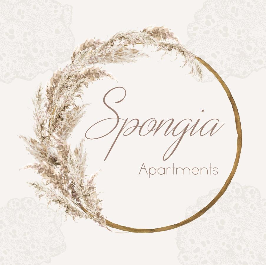 Spongia Apartments Kalymnos Exteriér fotografie